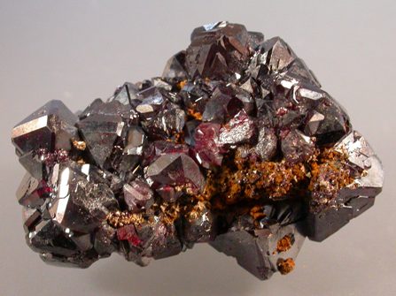 Image 4